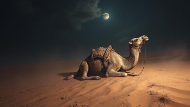 الجمل الميت في المنام